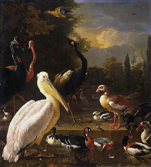 HONDECOETER, Melchior d A Pelican and Other Birds Near a Pool,